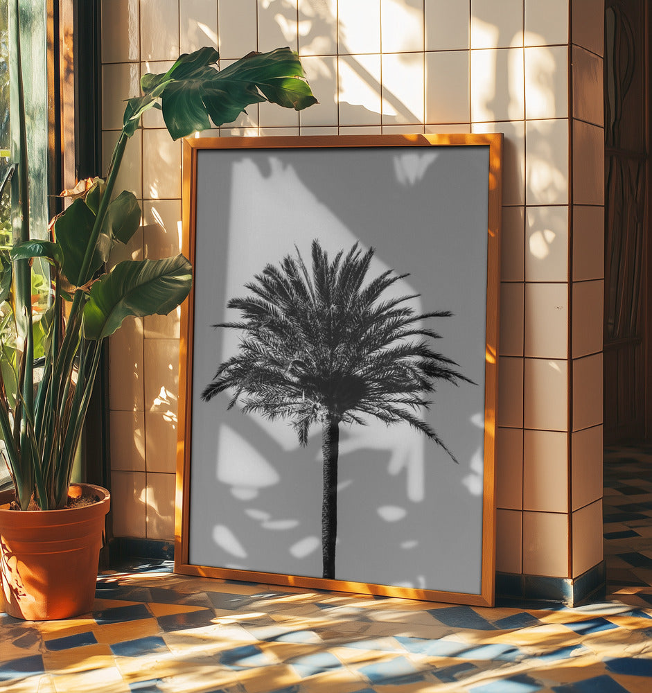 Palm_003 | Poster