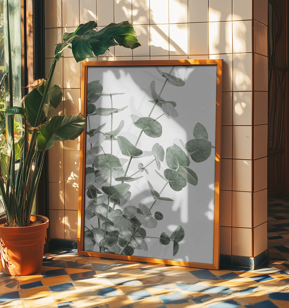 Eucalyptus_003 | Poster