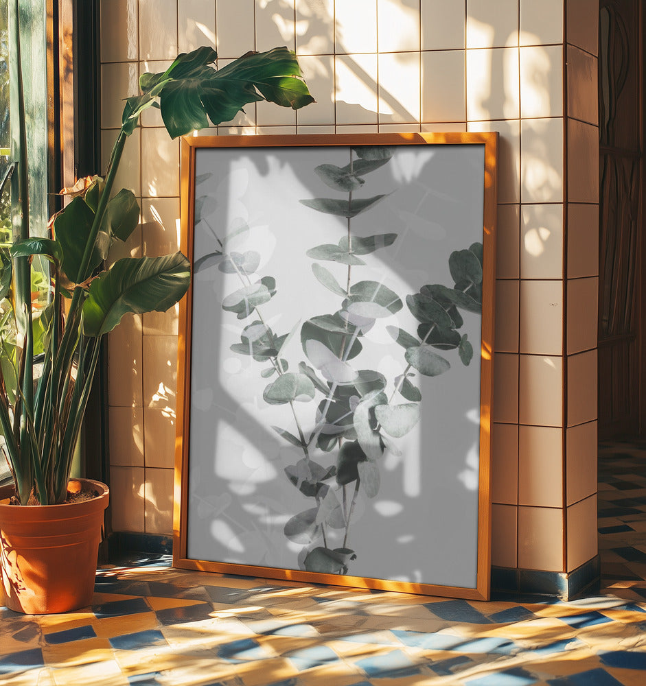 Eucalyptus_002 | Poster