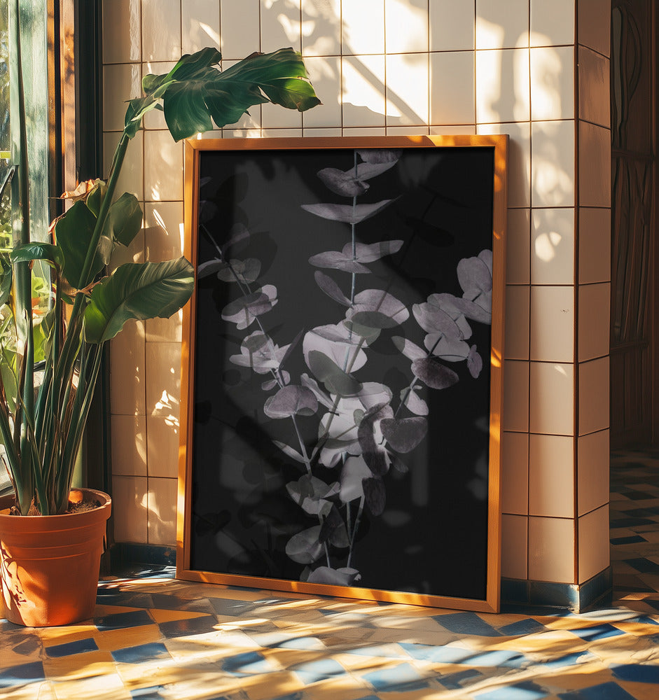 Eucalyptus_Negative_001 | Poster