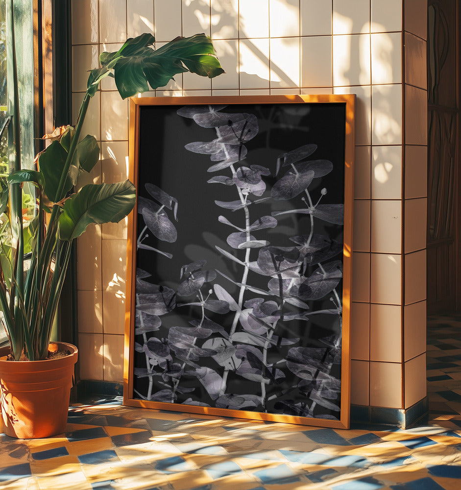 Eucalyptus_Negative_002 | Poster