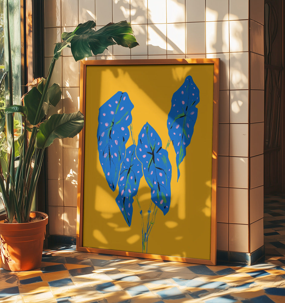 Begonia maculata blå och gul | Poster