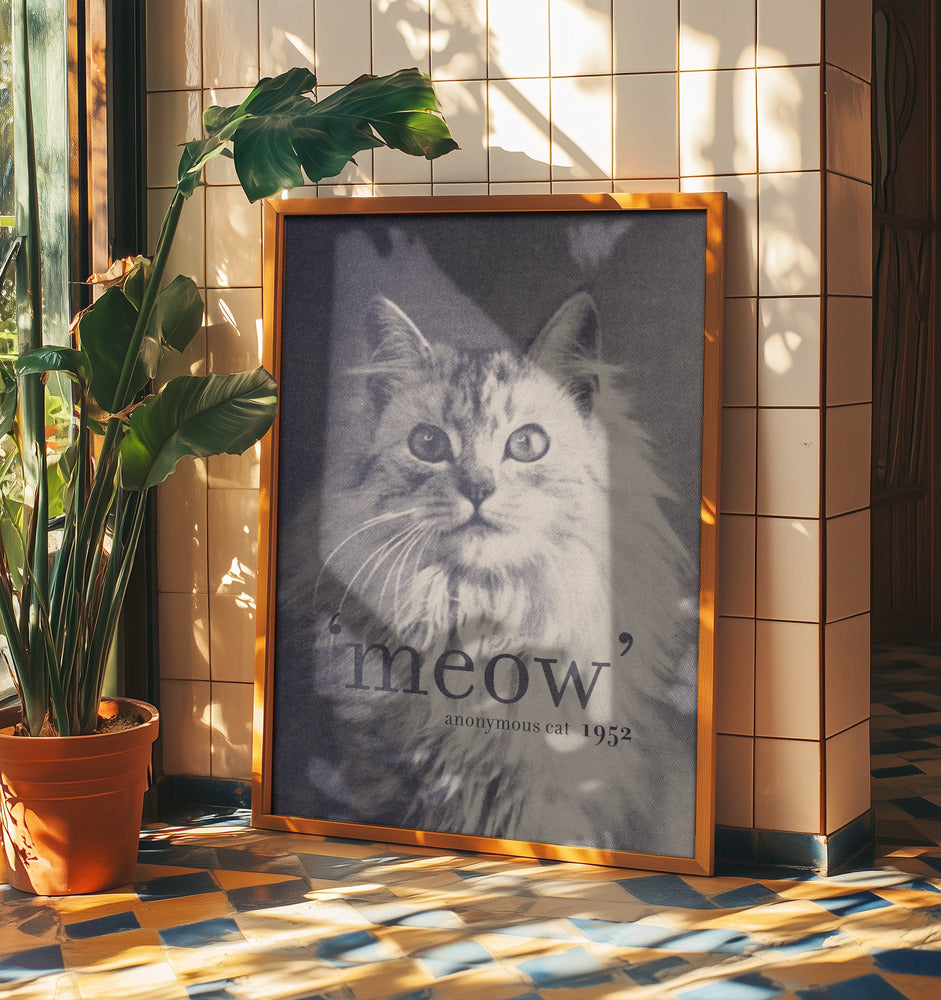 Famous Quote Cat | Poster