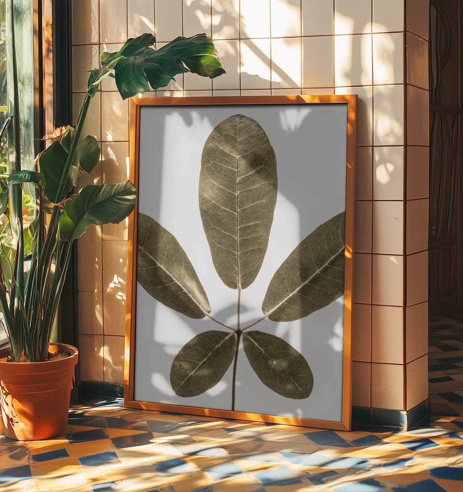 Autum Leaf | Poster