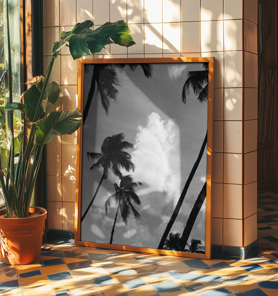 Silhouetted Palms | Poster