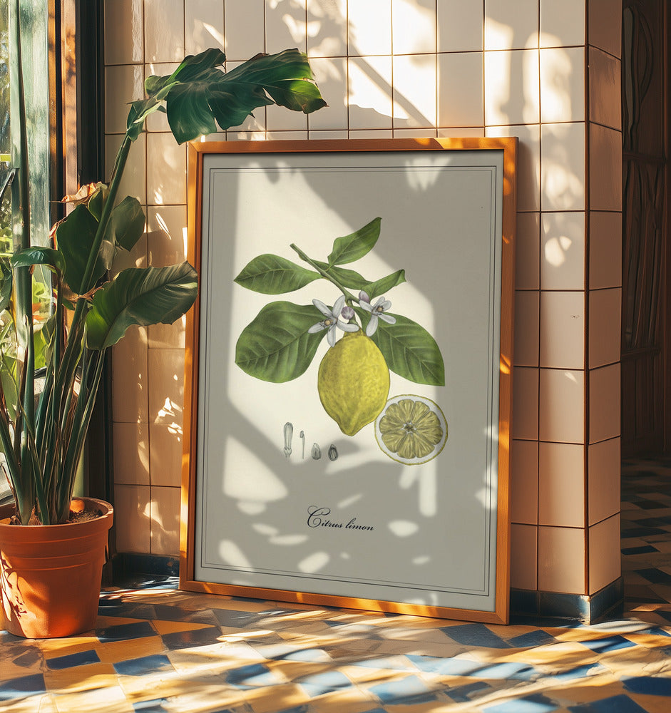 Citron | Poster