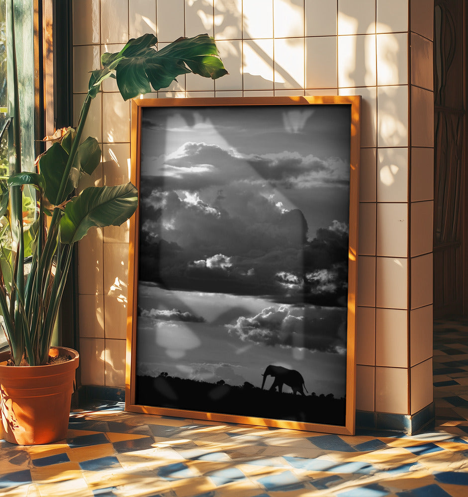 Han vandrar under en afrikansk himmel | Poster
