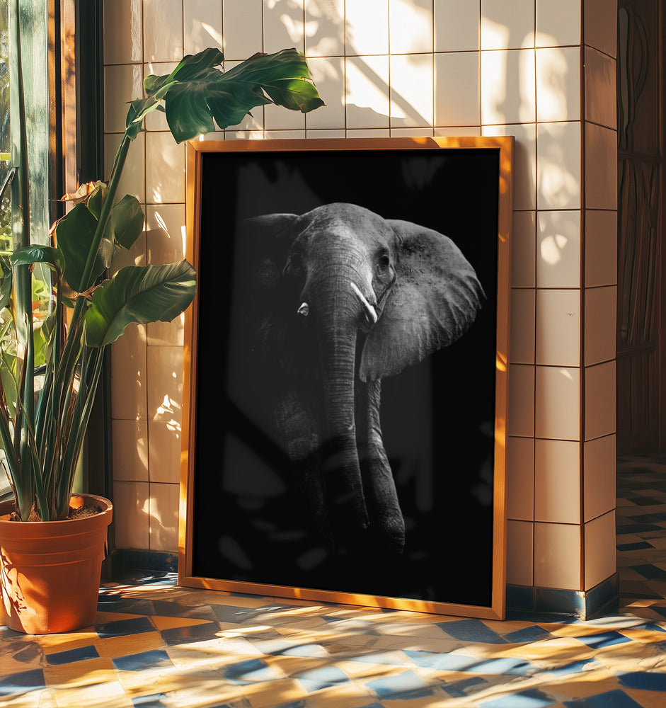 Elefant! | Poster