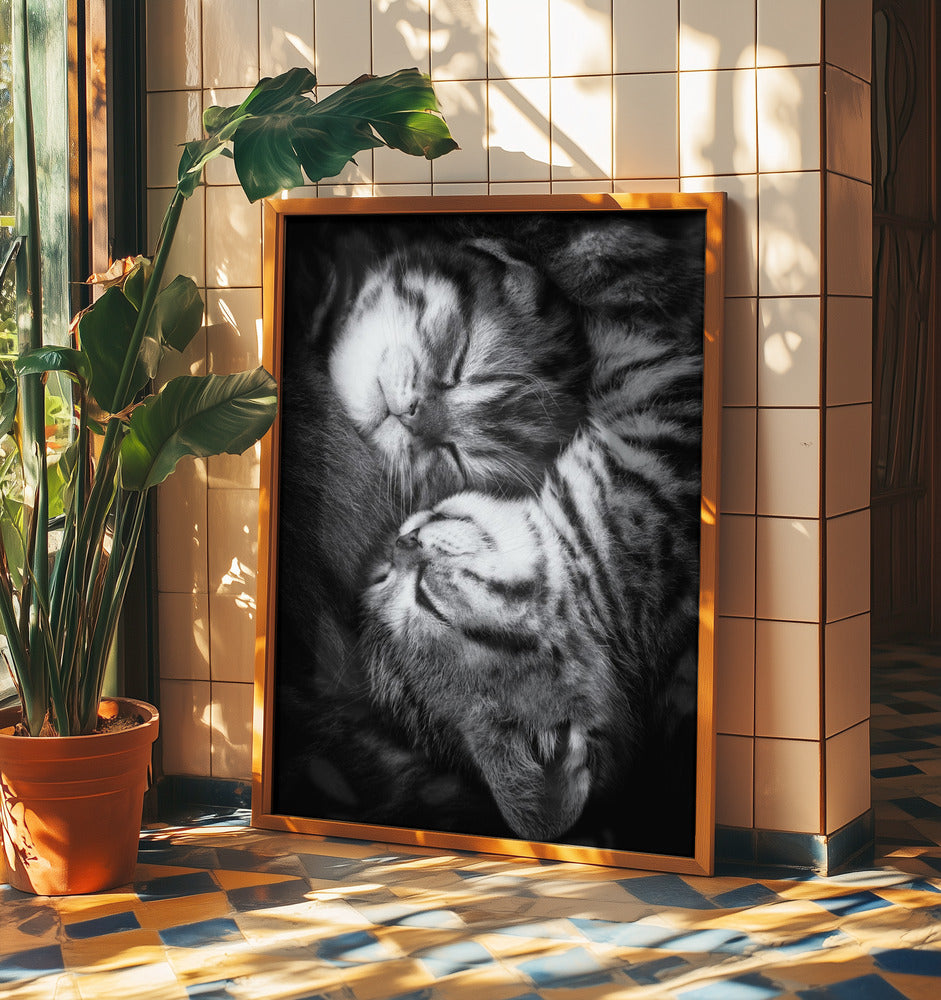 Yin och Yang | Poster