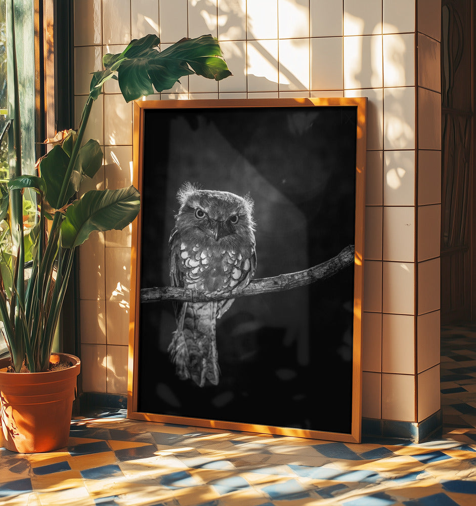 Ensam i natten | Poster