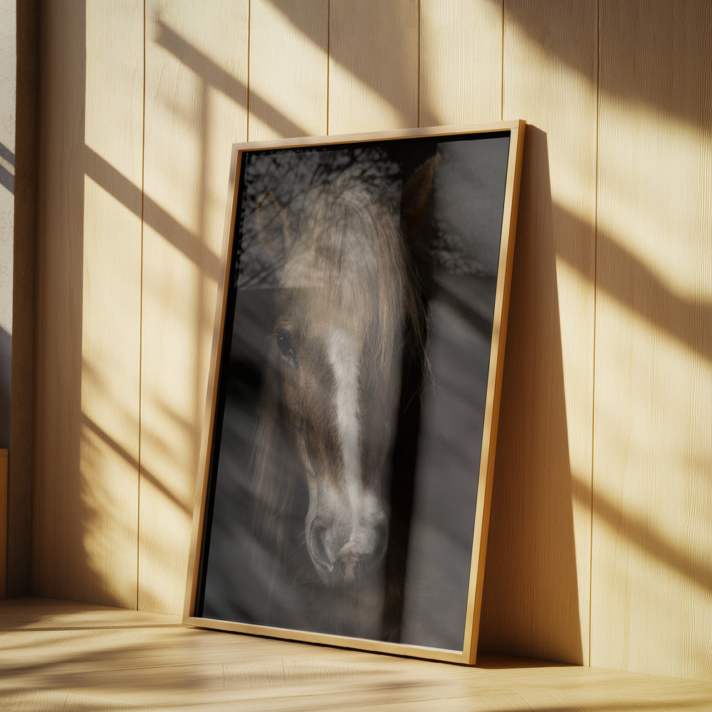 Visdom | Poster