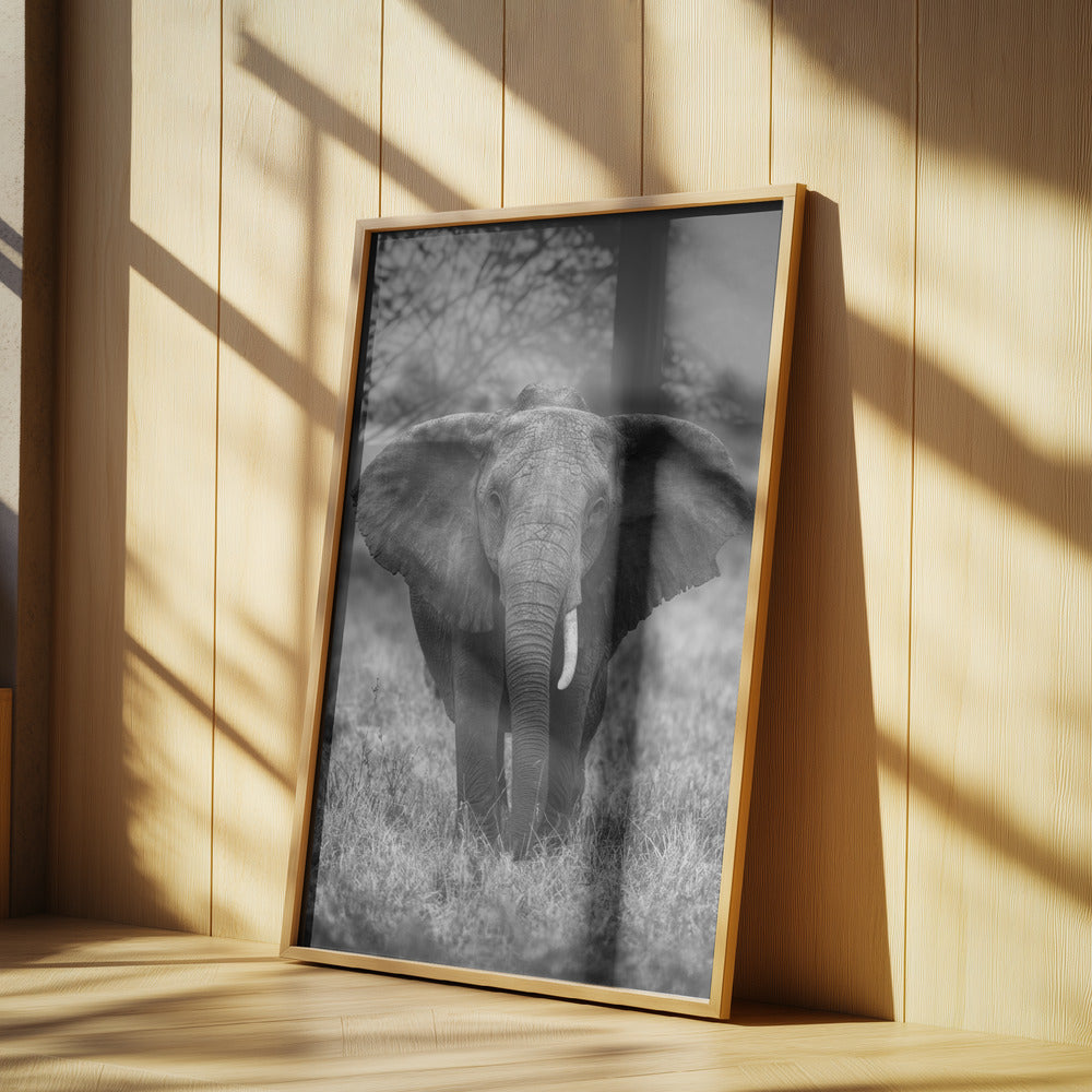 SINGULARITET | Poster
