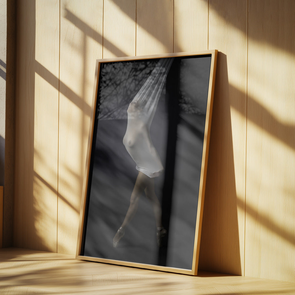 Transparent stretch | Poster