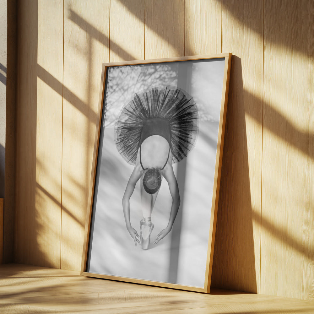 Balettteknik | Poster