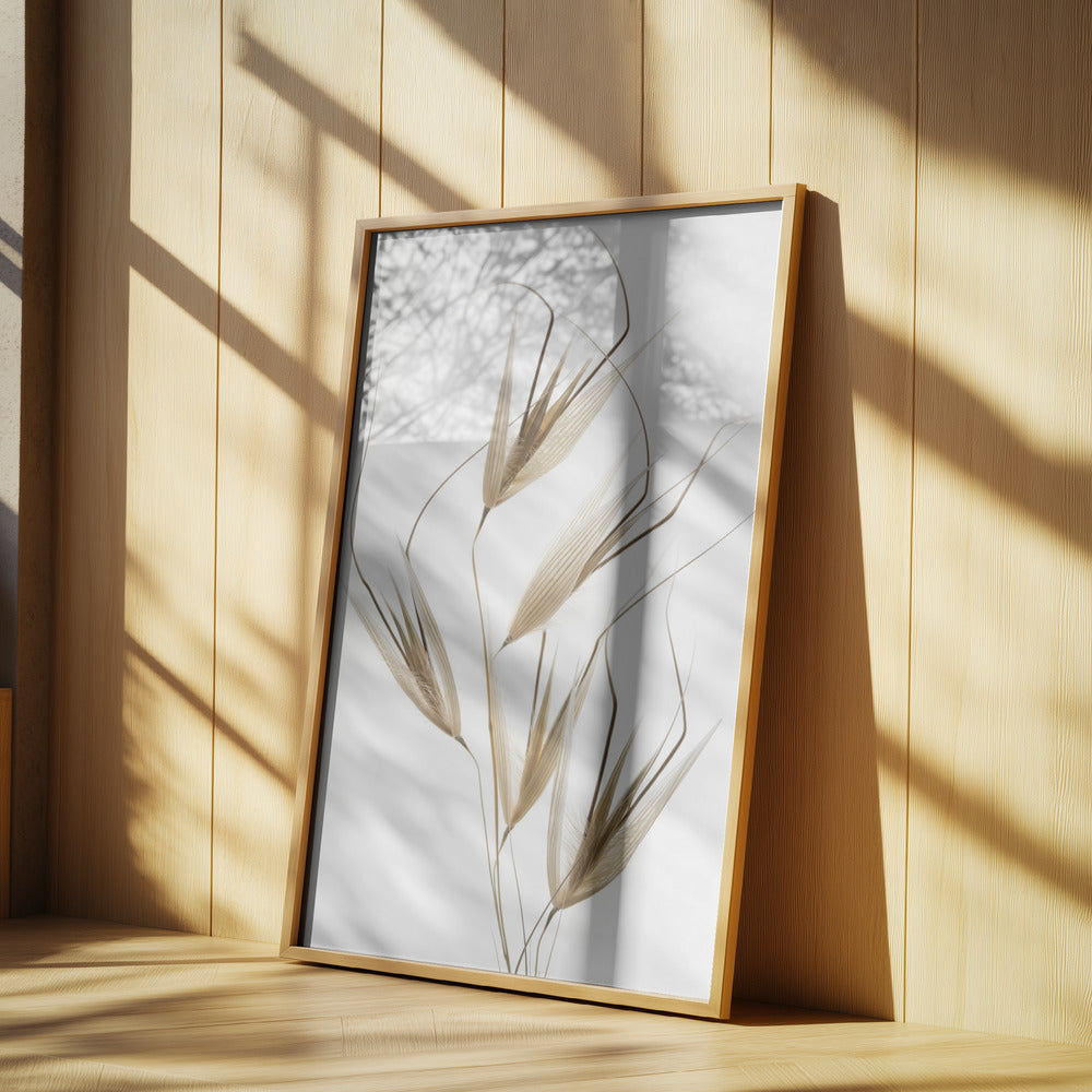 Naturens delikatesser | Poster