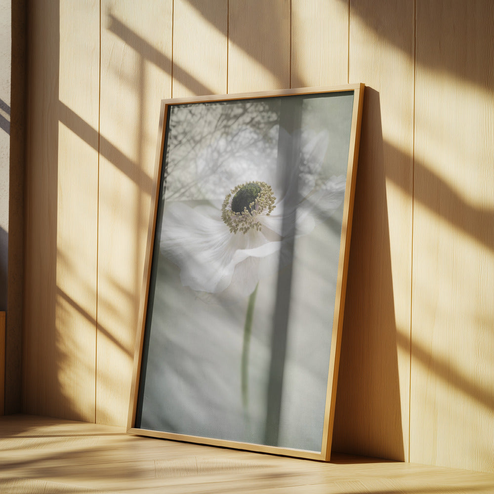 Enkel vit | Poster