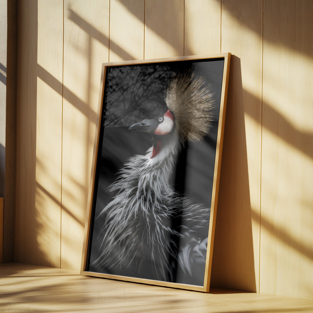 Porträtt av krönt trana | Poster