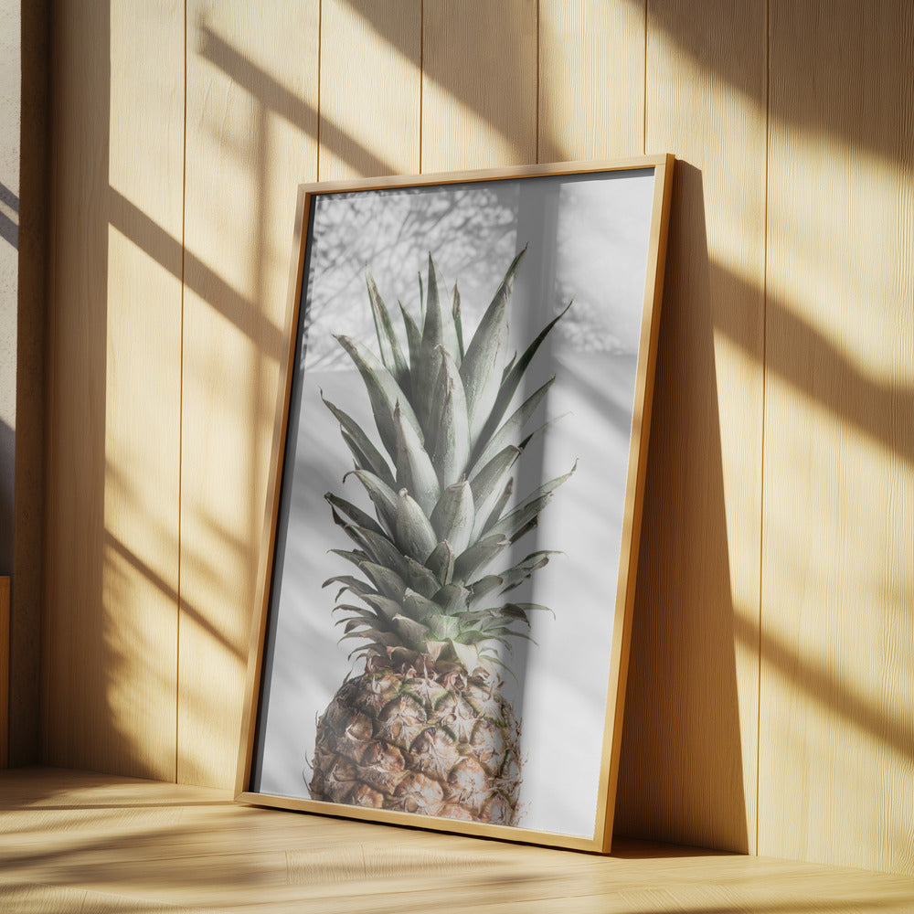 Ananas Naturale | Poster - Stampe d’Arte