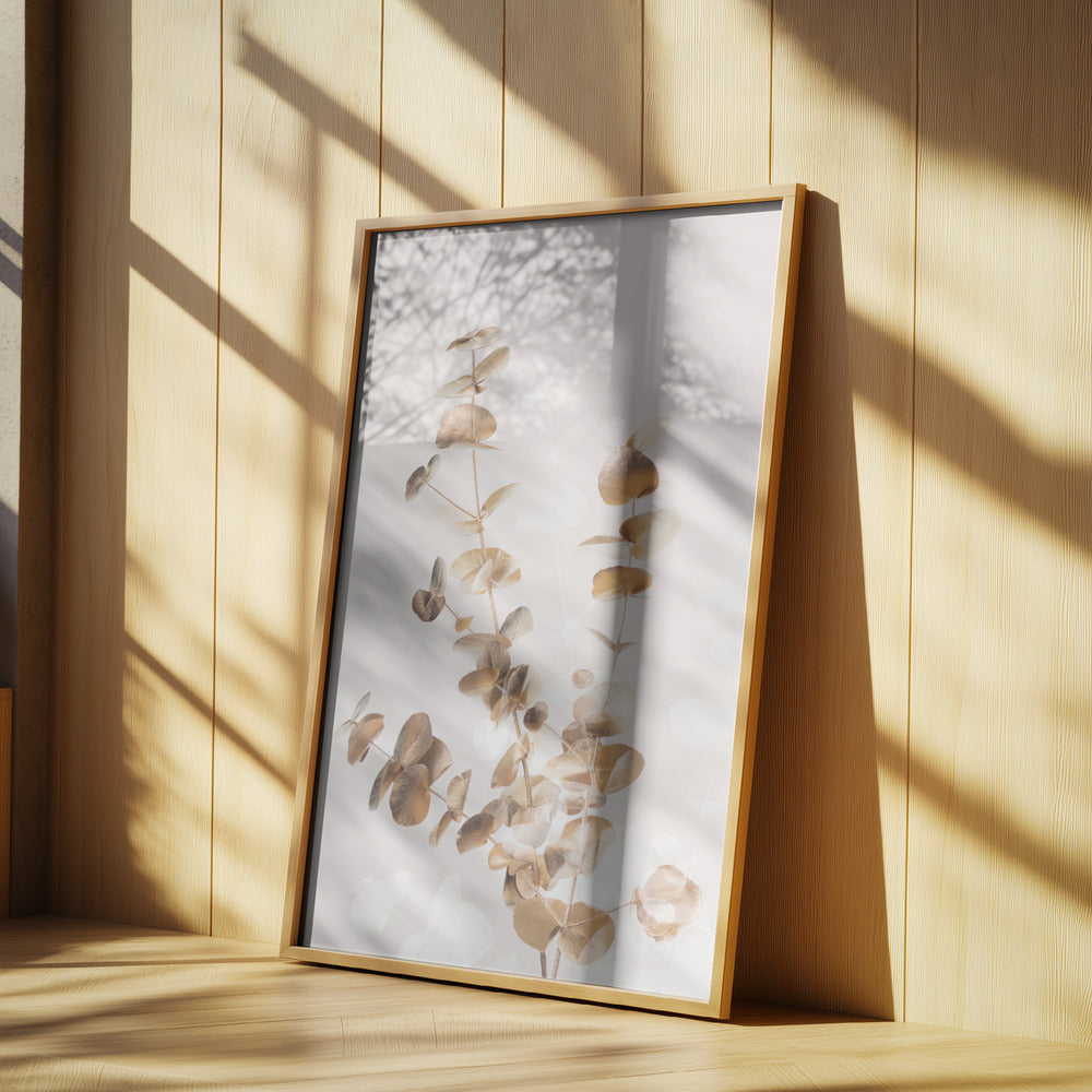 Eucalyptus Creative Gold 03 | Poster