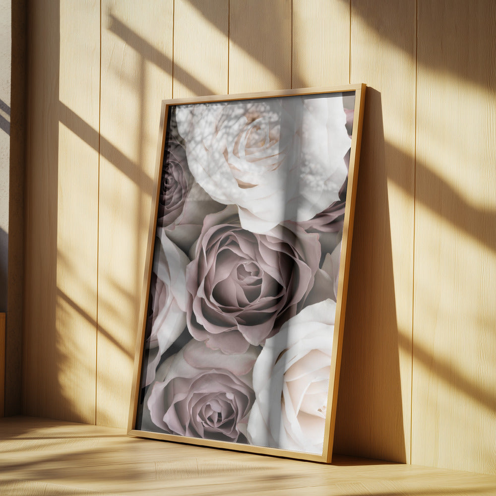 Rosor | Poster