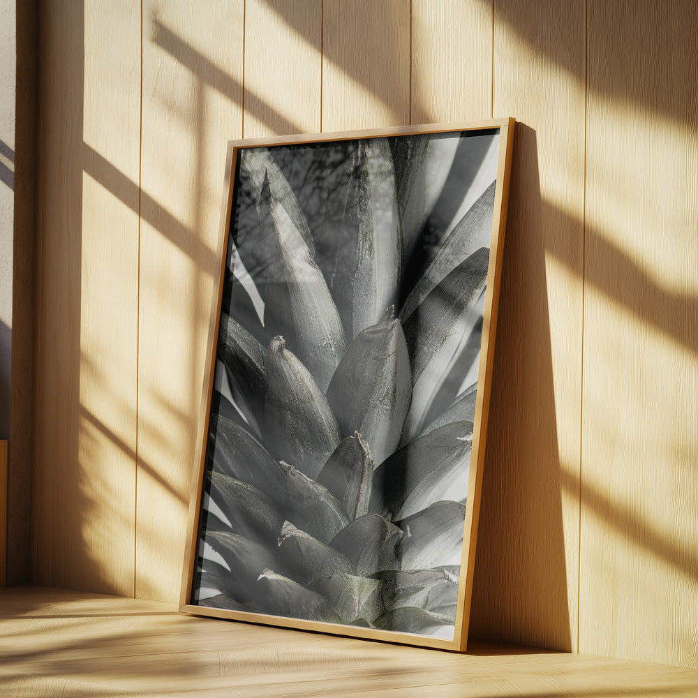 Ananas närbild | Poster
