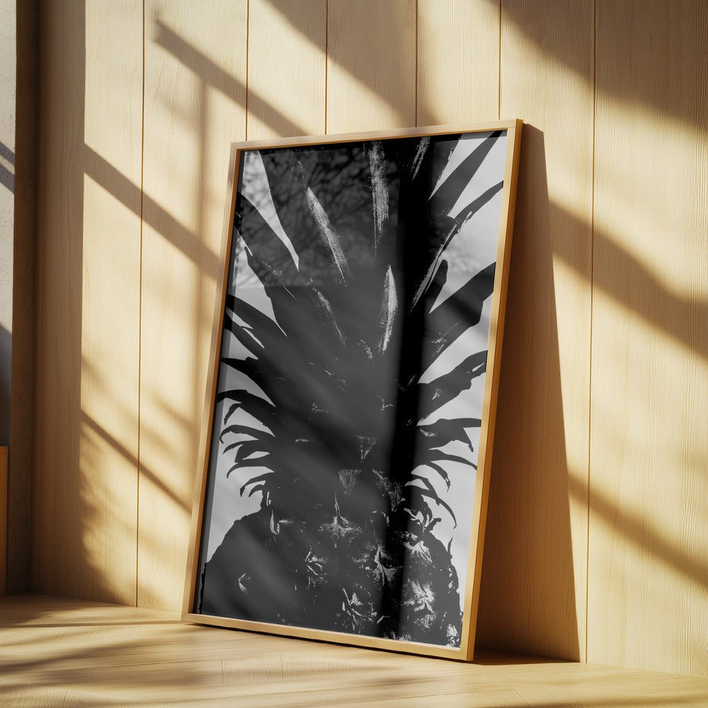 Ananas svartvit | Poster