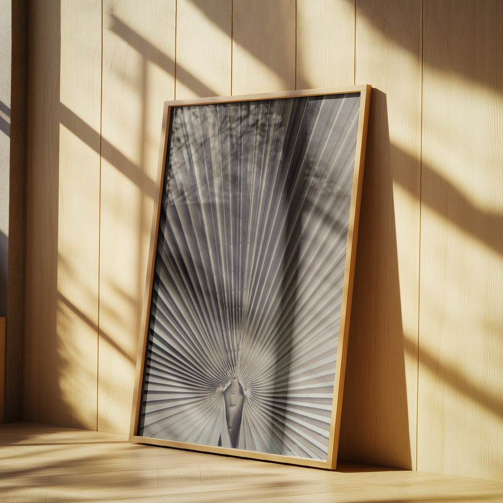 Palmblad_001 | Poster
