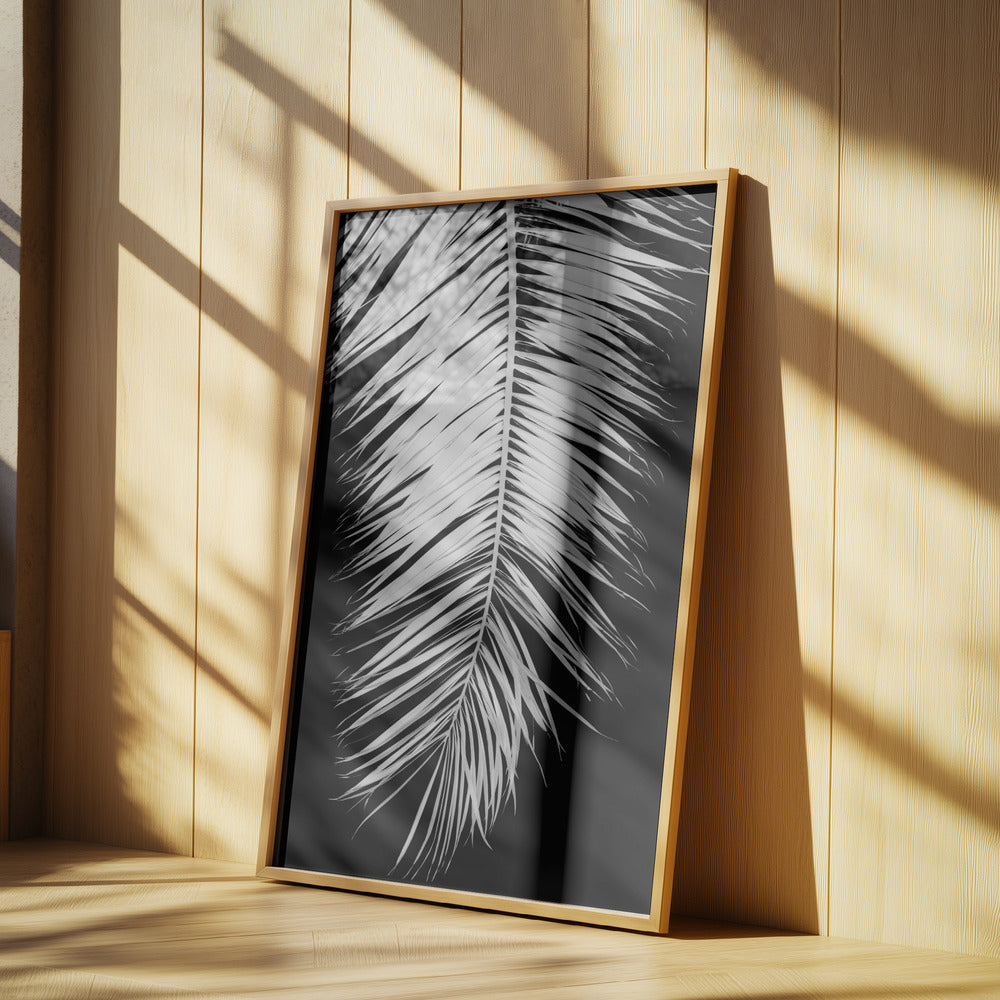 Palmblad_004 | Poster