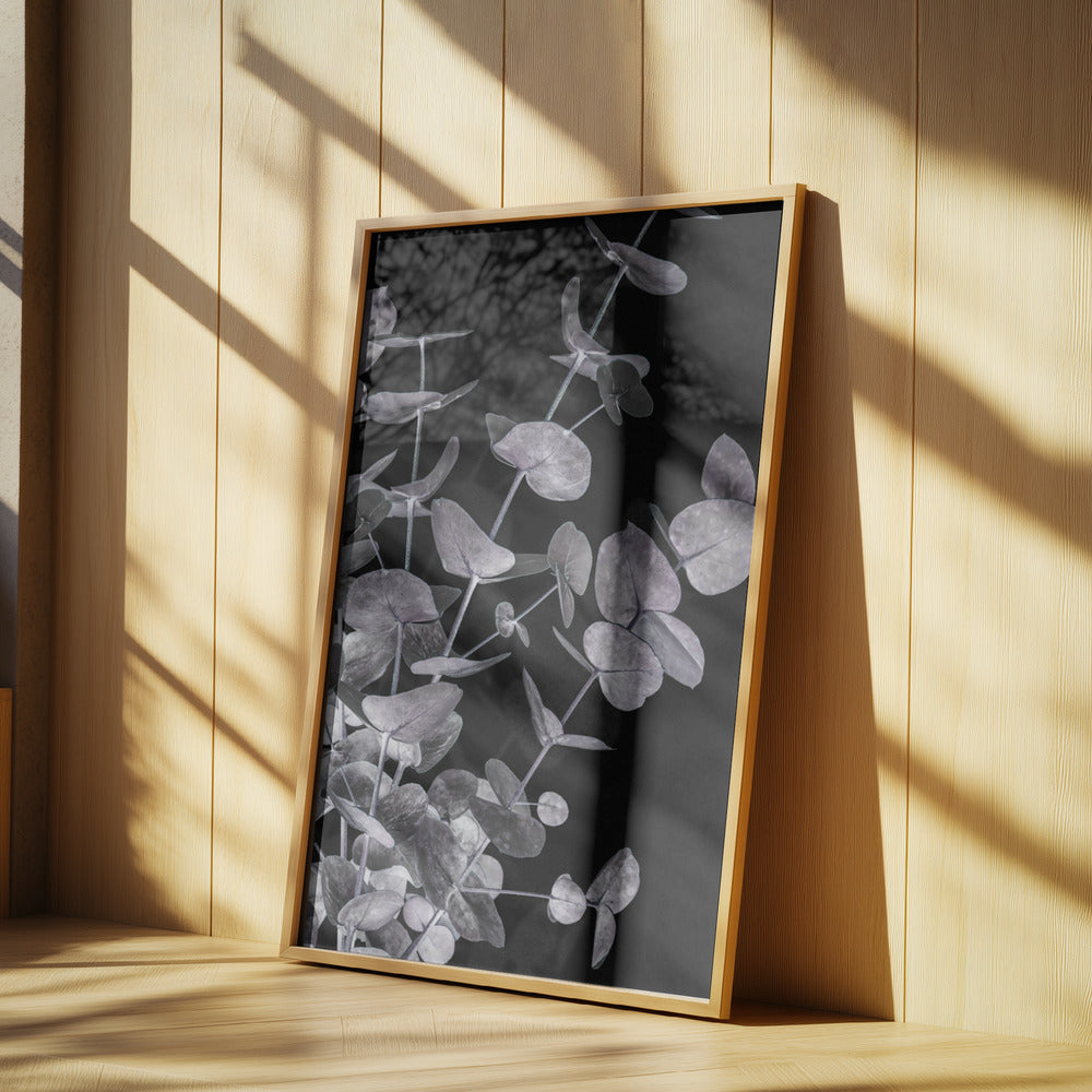 Eucalyptus_Negative_003 | Poster