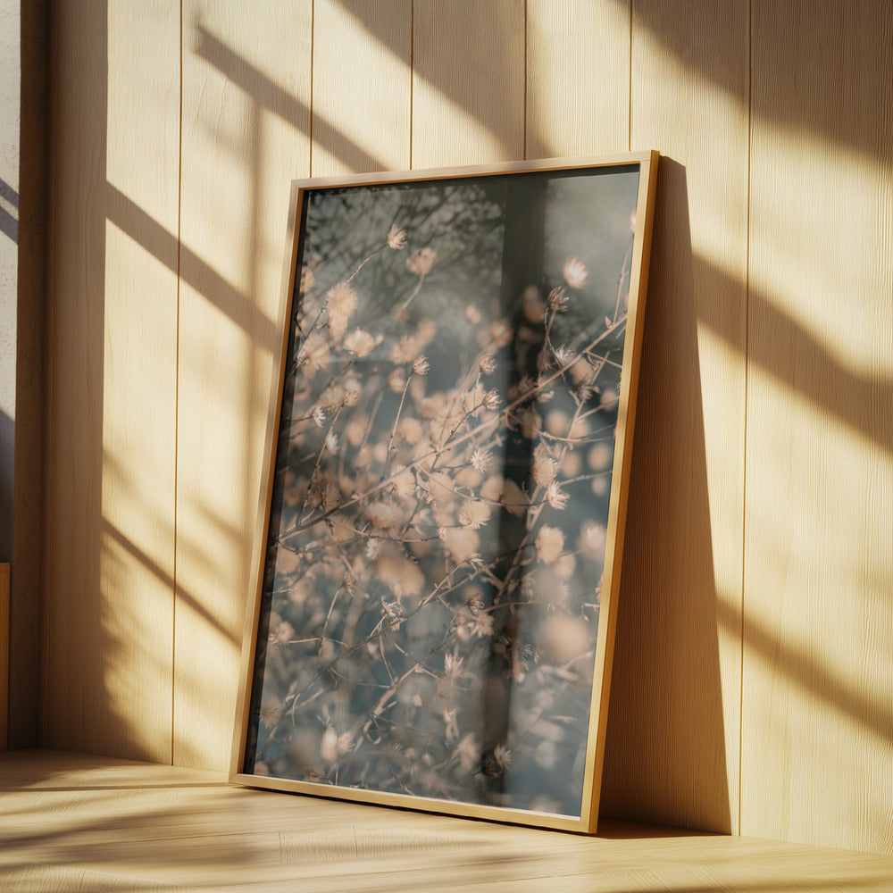 Strandblommor_003 | Poster