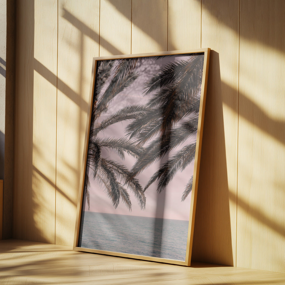 Palm_011 | Affisch