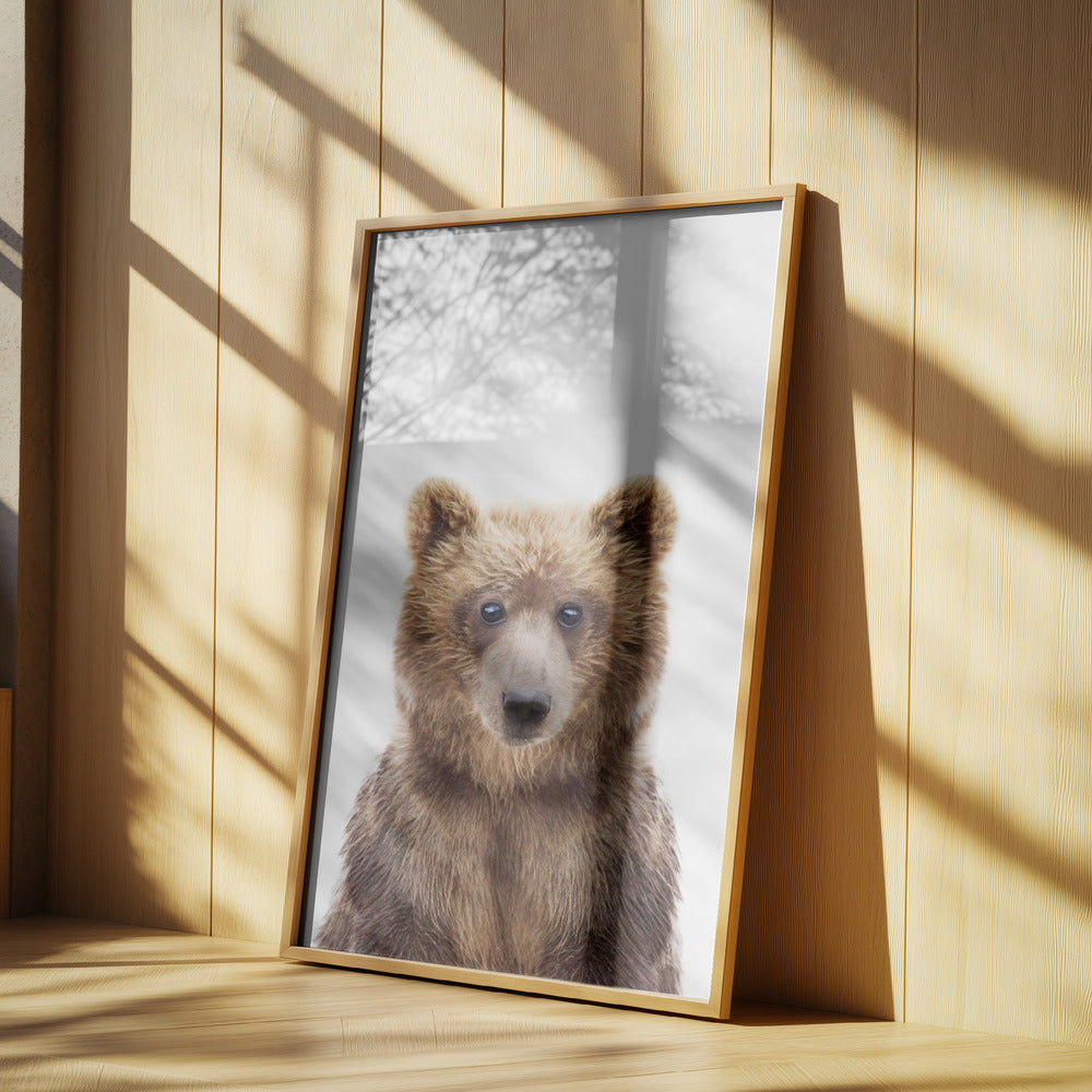Babybjörn | Poster