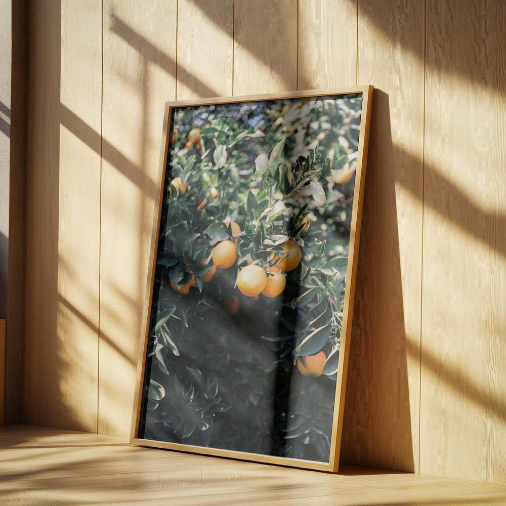 Marrakesh-sinaasappels | Posters - Kunstdrukken