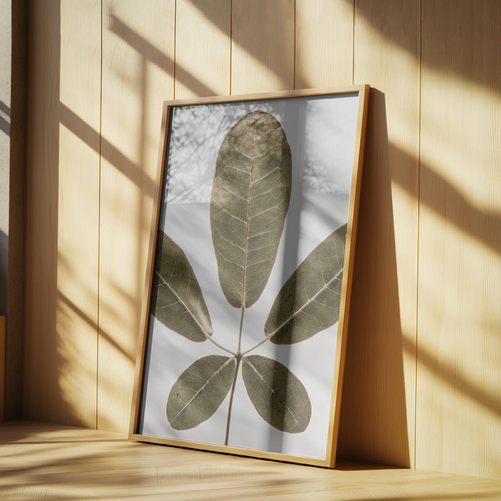 Autum Leaf | Poster