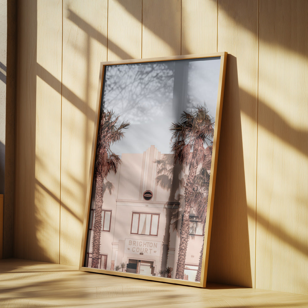 Palm Shadows | Poster