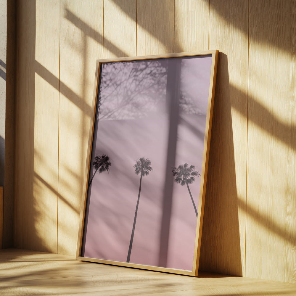 Pink Sky Trio | Poster