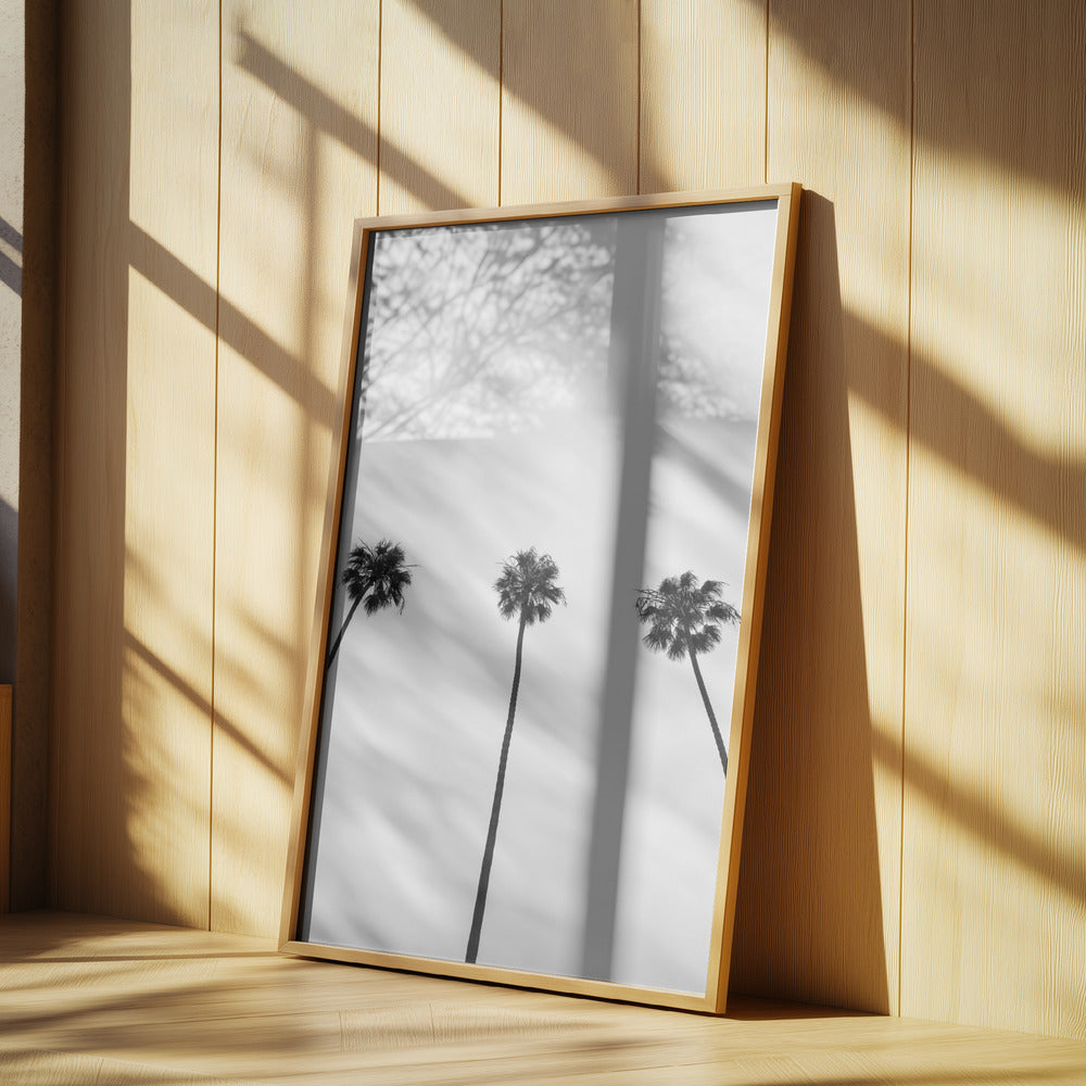 Skyward Palms Trio | Poster
