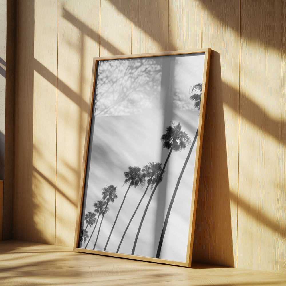 Tall Palm Parade | Poster