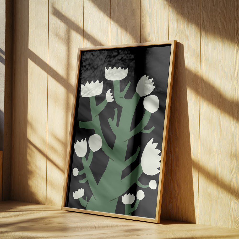 Nattlig vit blomma | Poster