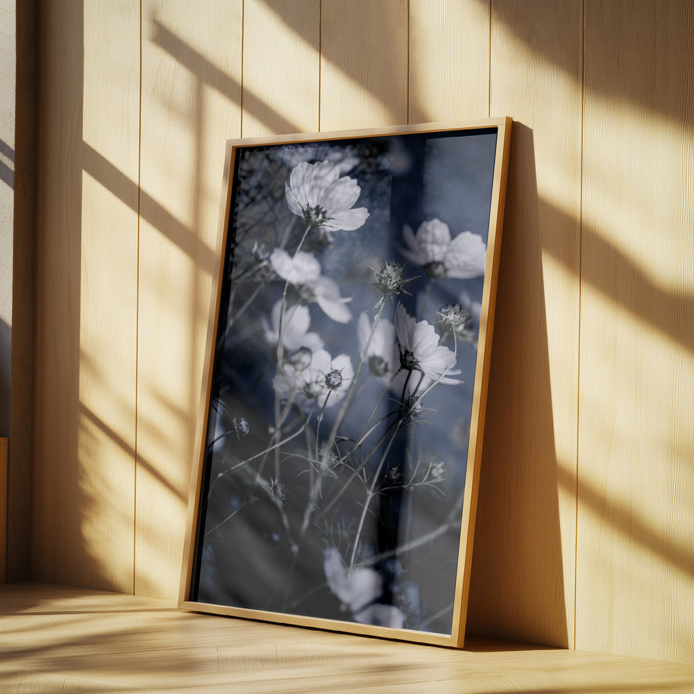 Vilda blommor 10 | Poster