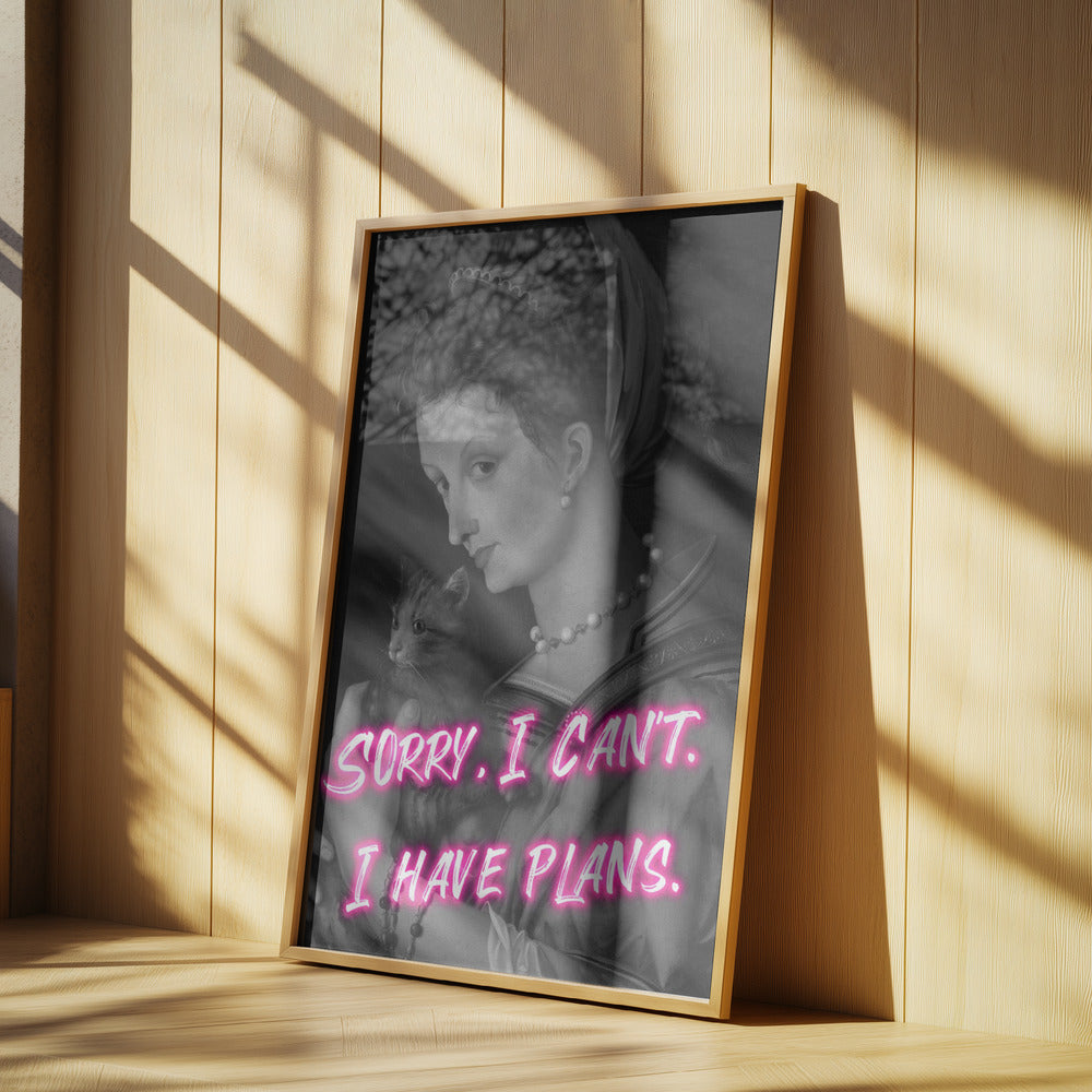 Catlady Ratio2x3 | Poster