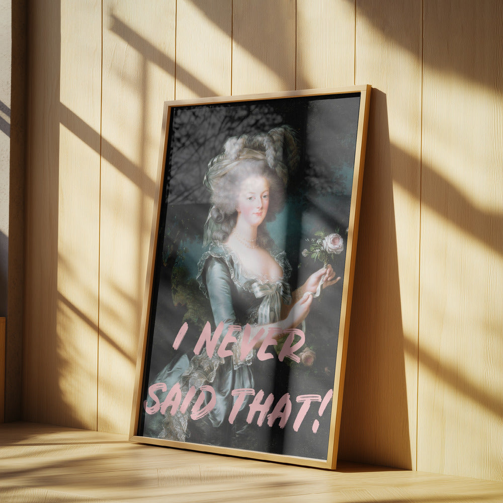 Ineversaidthat Ratio2x3 | Poster