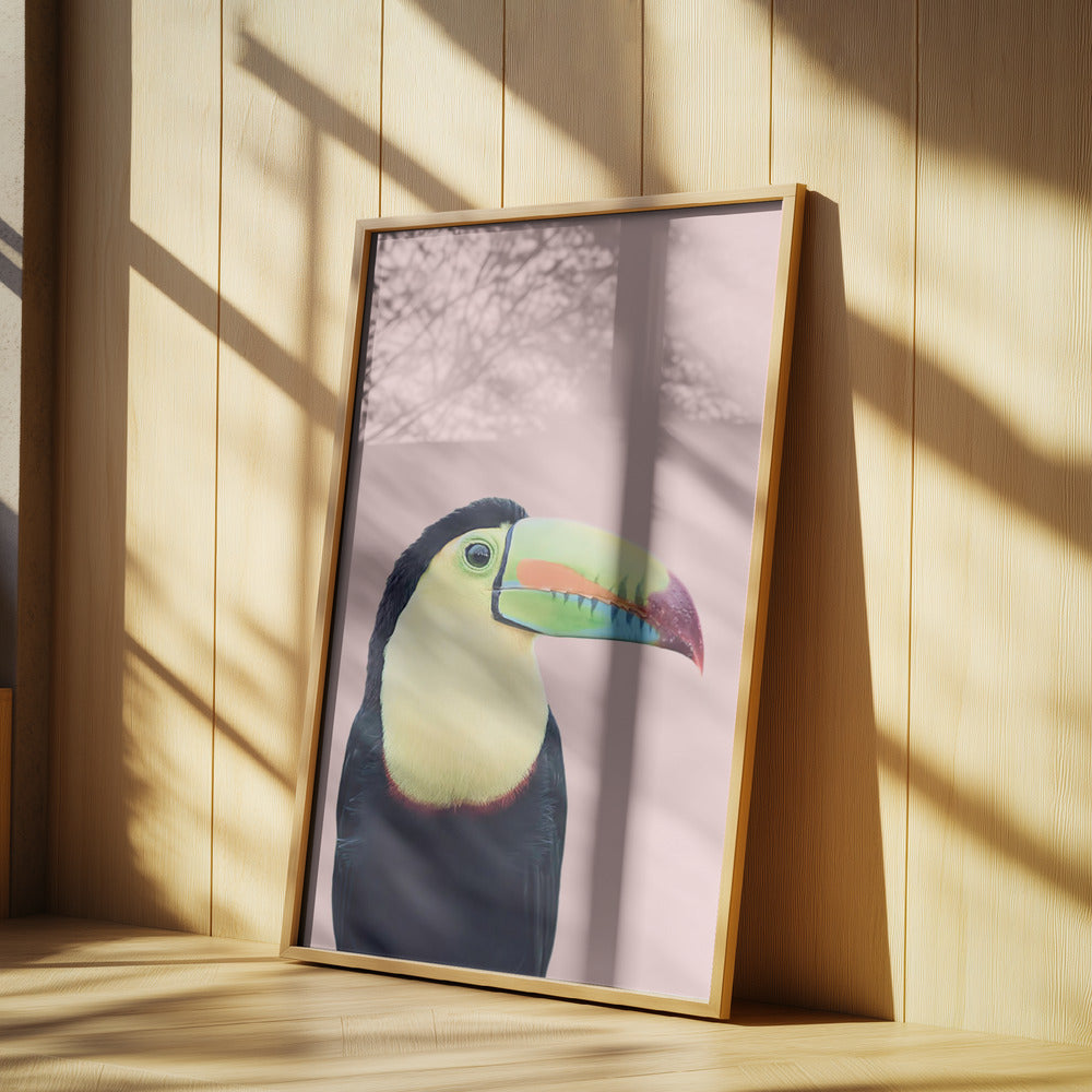 Tukan på rosa | Poster