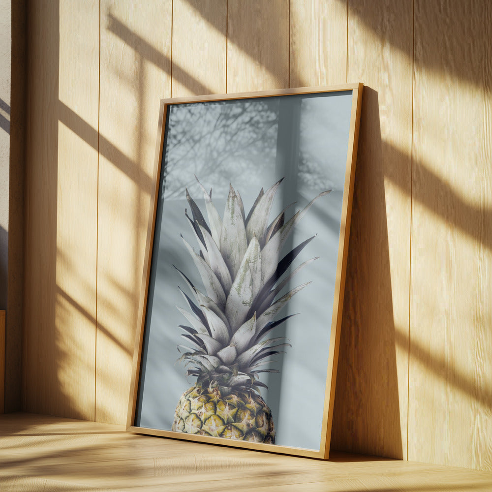 Ananas 1 | Poster
