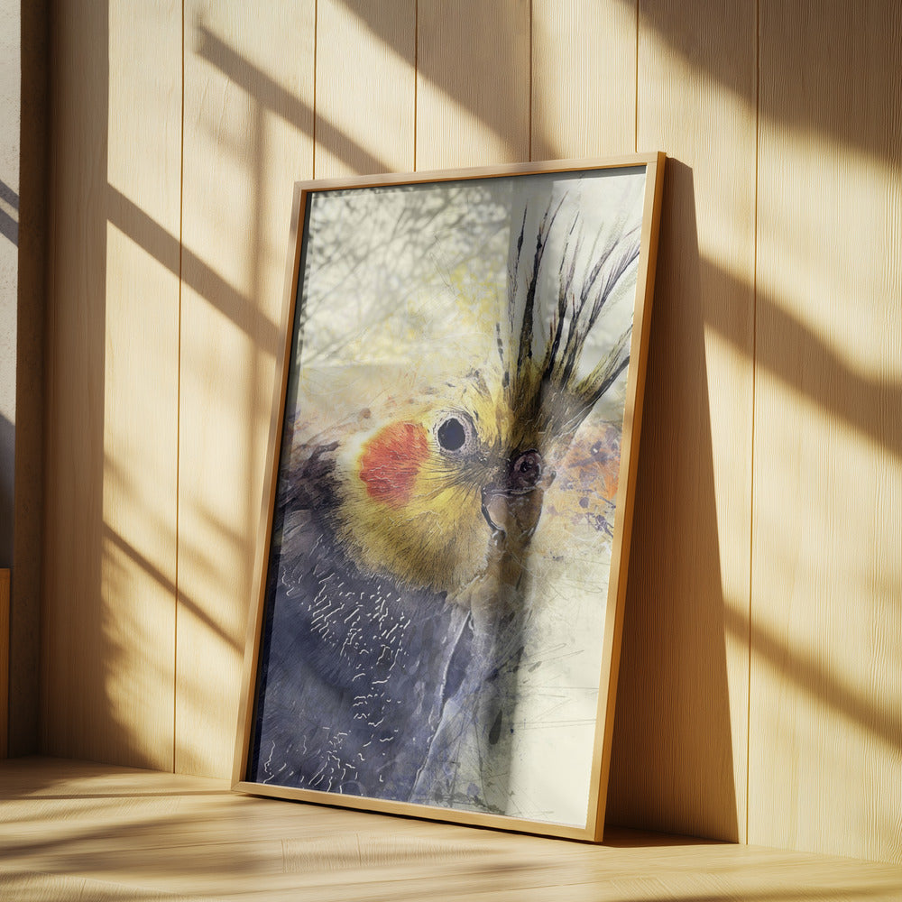 Tier Vogel Nymphensittich Aquarell Tierkunst | Poster