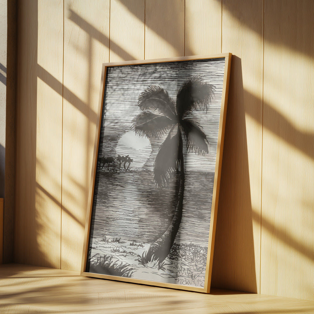 Palm in Sunset Glow | Poster