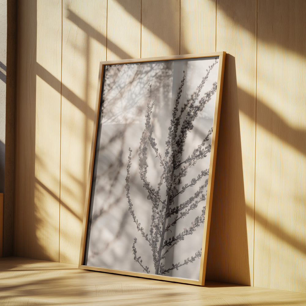Summer Shadows 7X | Poster