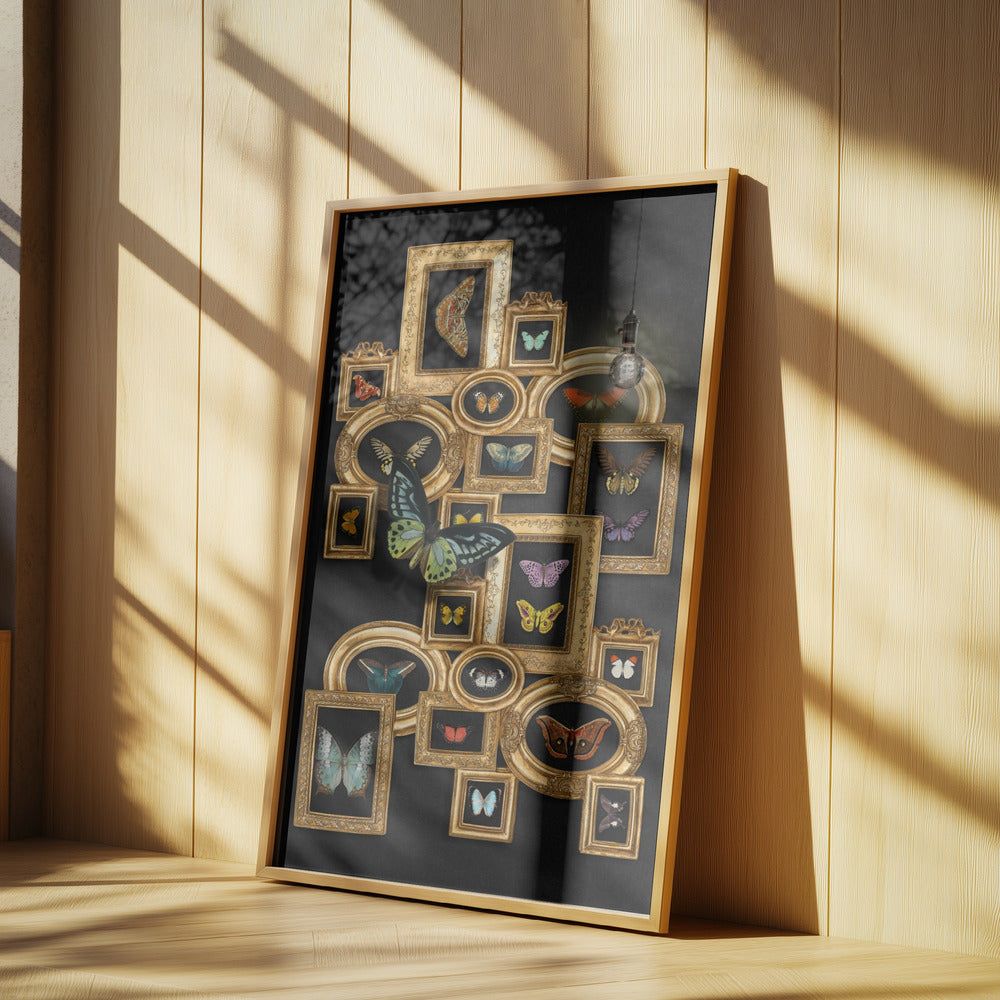 En samling fjärilar | Poster