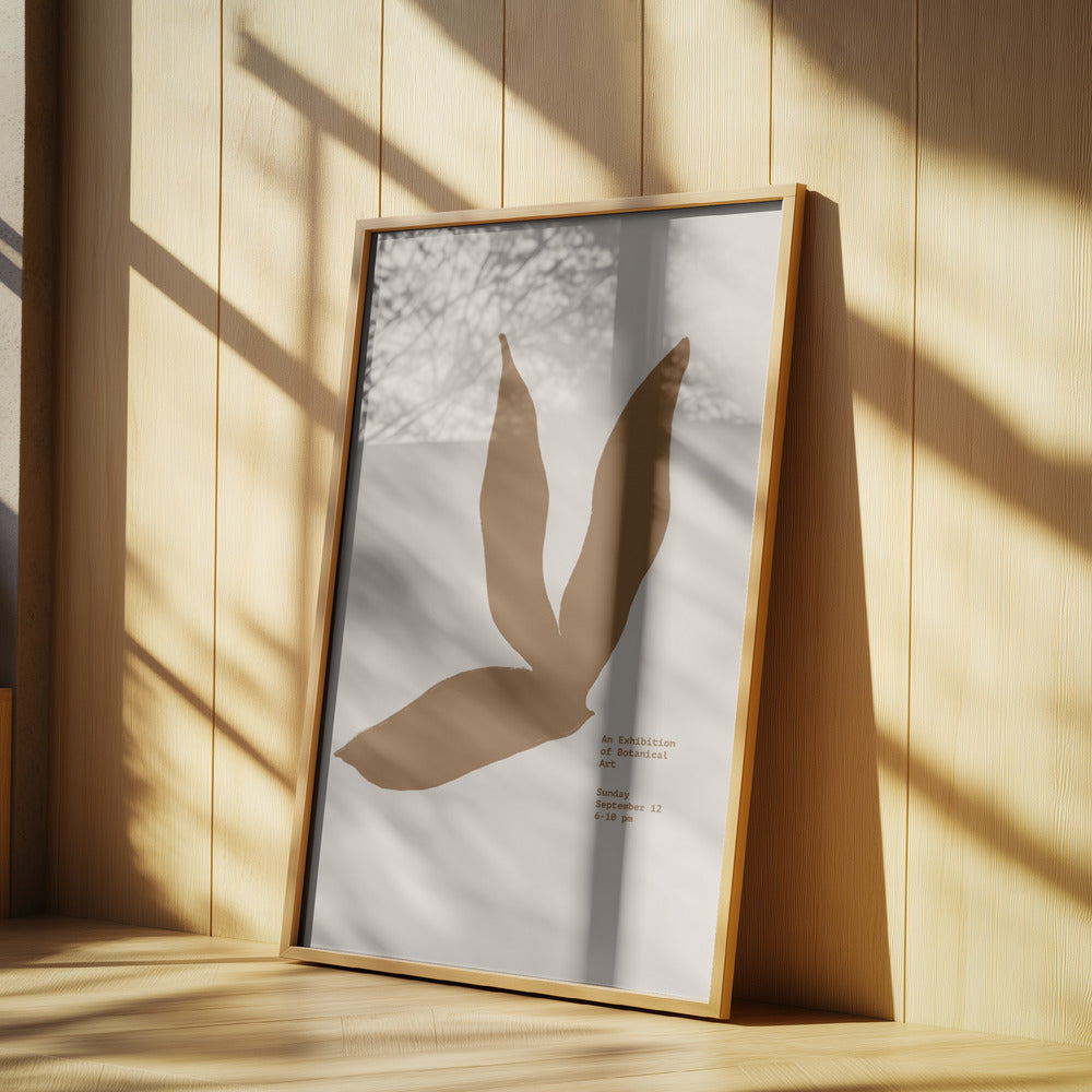 Scandilineno16 | Poster