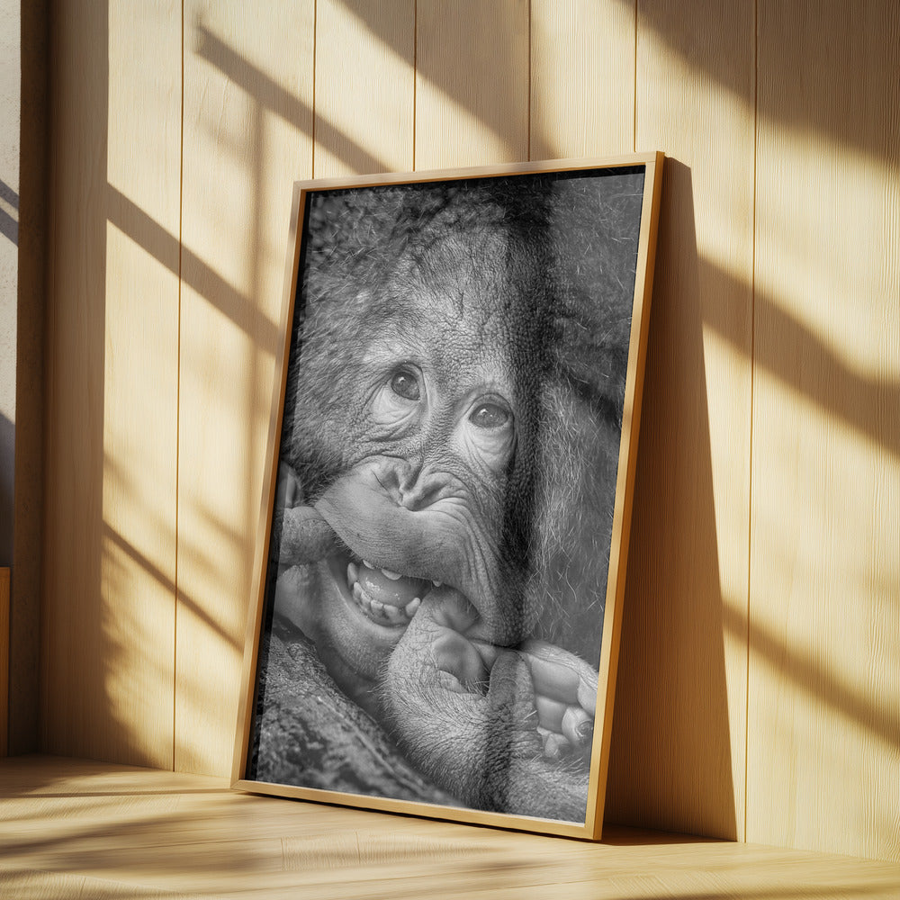 Big Smile.....please | Poster